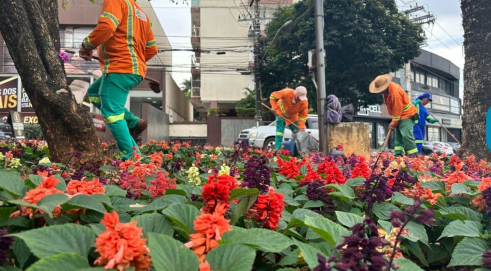 Prefeitura de Goiânia faz manutenção em canteiros e jardins de 20 praças da cidade durante a semana